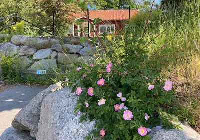 Märsta Kulturstugan