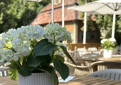 Sigtuna Farbrorblå Webb